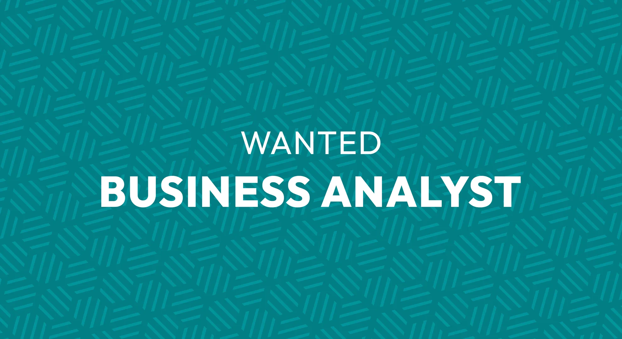 Job Opportunity: Business Analyst